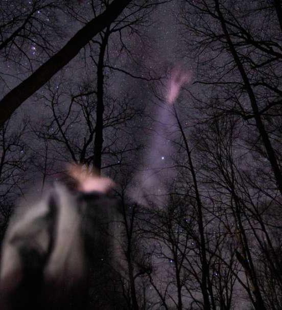 冬日森林里学生研究夜空的照片